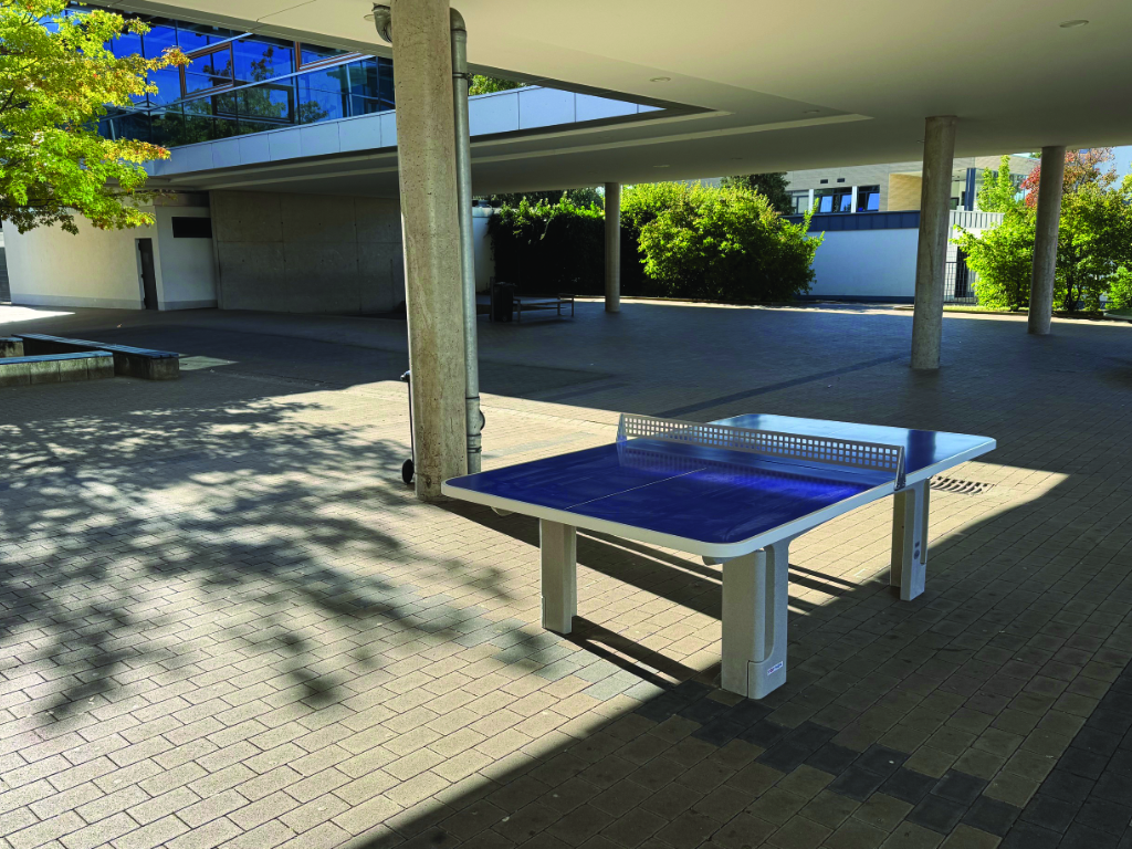 Neue Tischtennisplatte