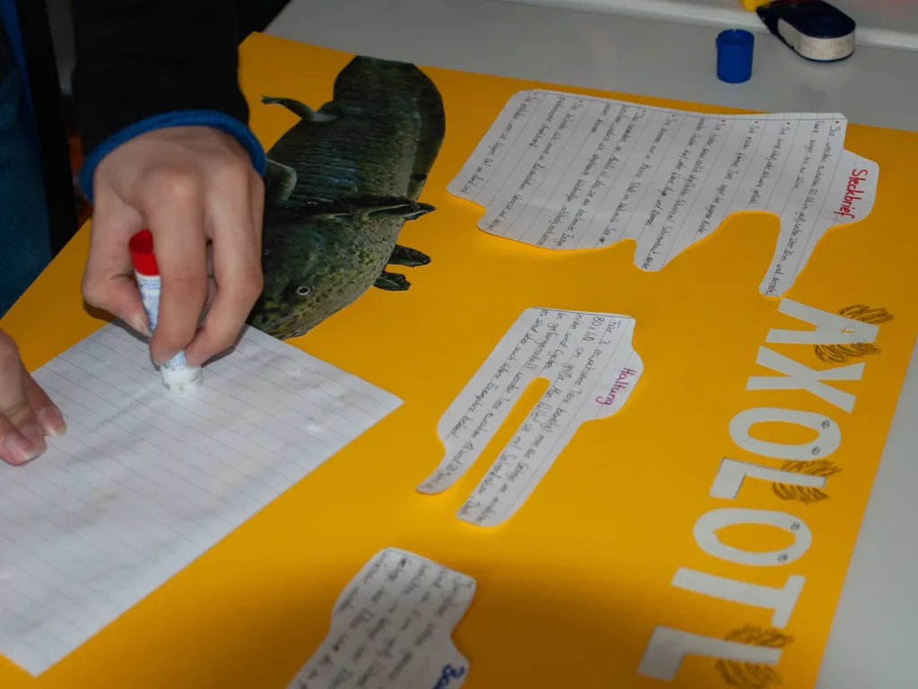 Person beschriftet das Axolotl-Plakat.