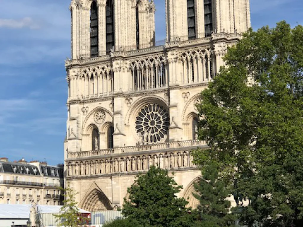 Die Westfassade von Notre-Dame in Paris mit dem Rosettenfenster, davor Bäume.