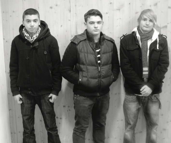 Mathematik-Wettbewerb Schuljahr 2012/2013 (1. Runde)