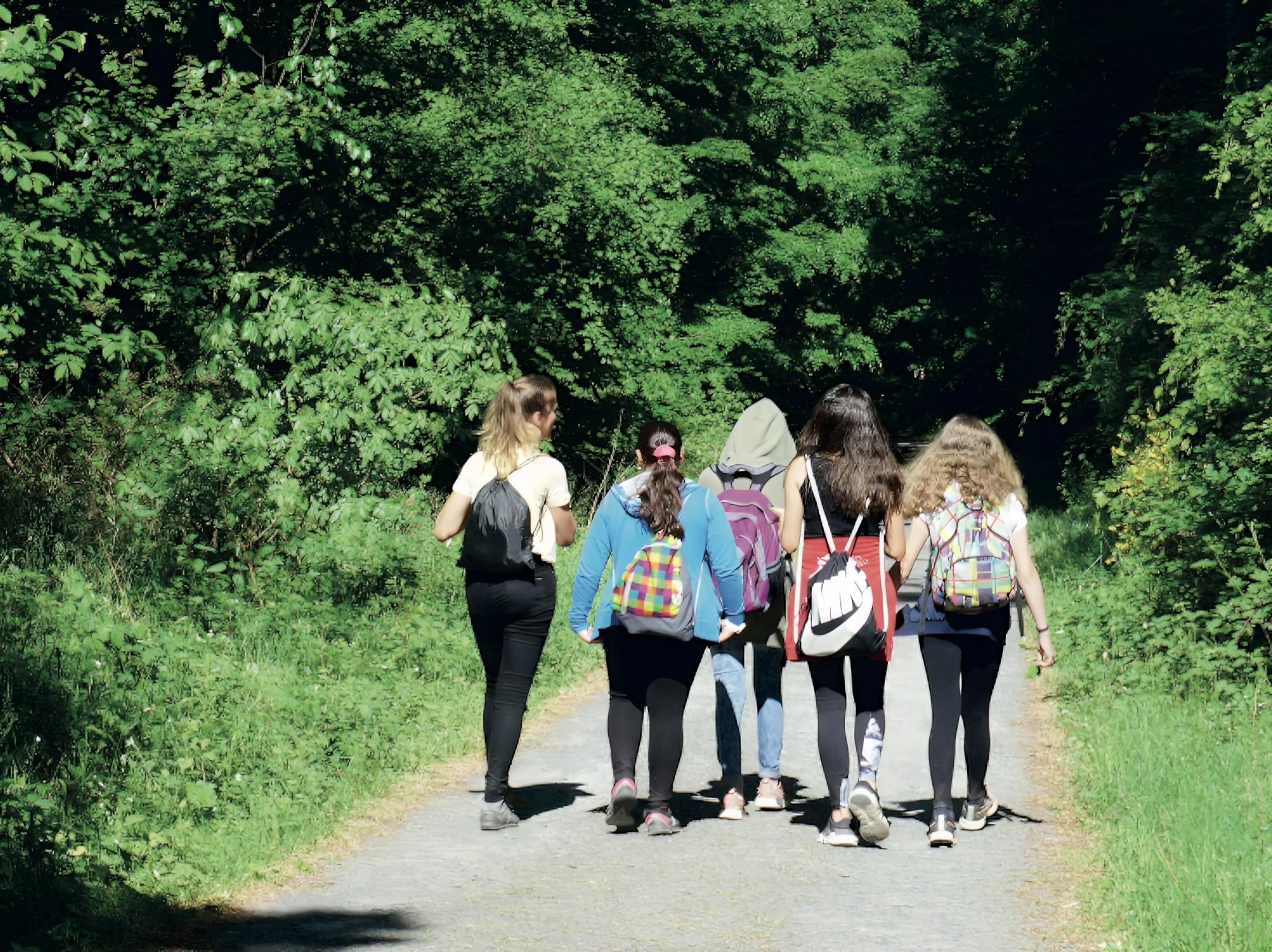 Schüler der 7. Klassen beim Waldtag
