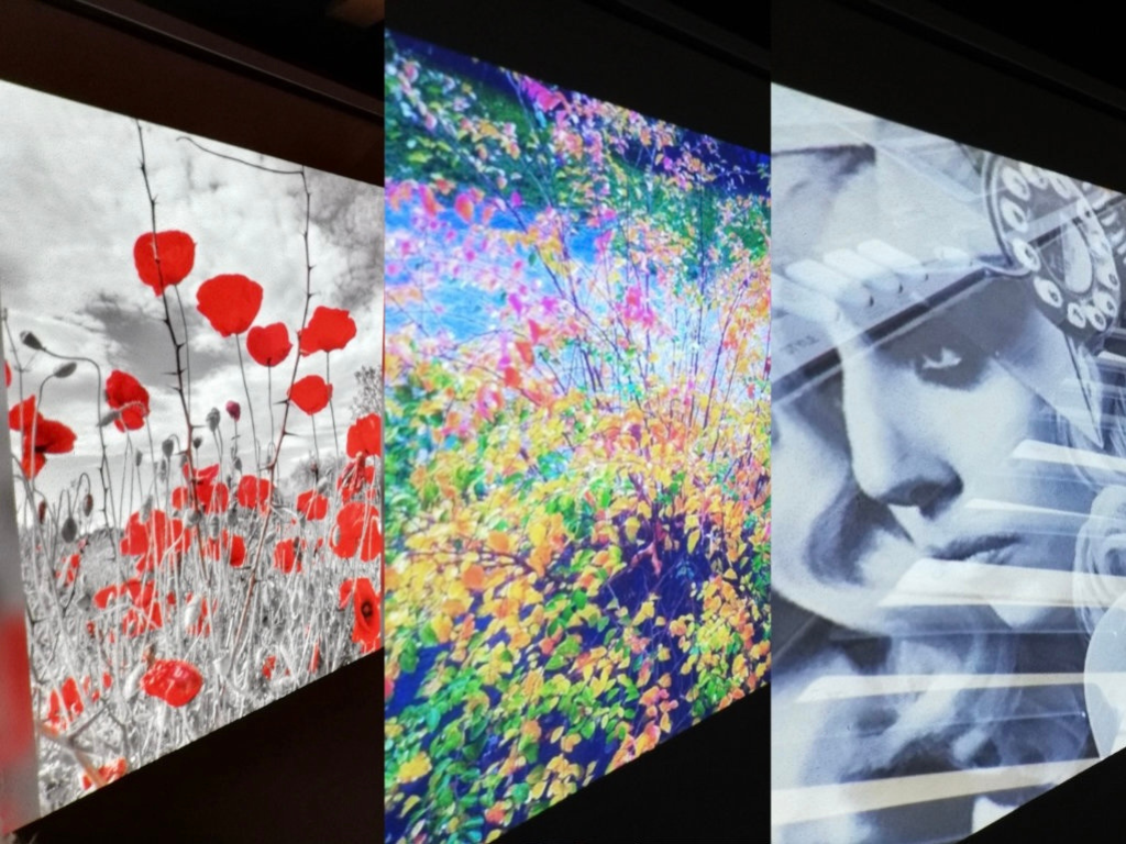 Fotos des Fotowettbewerbs